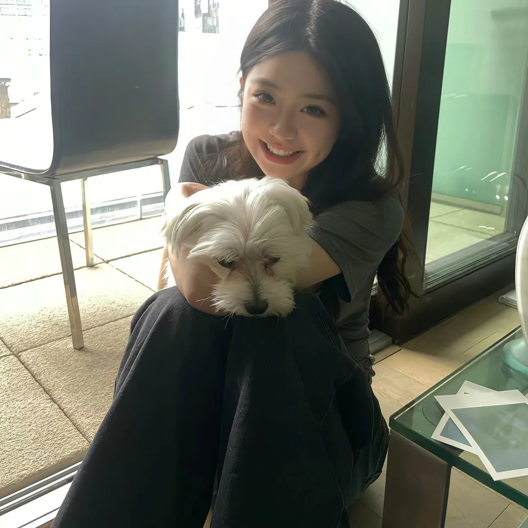 好莱坞骑士